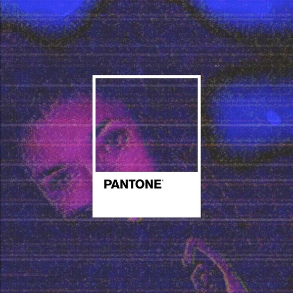 Meet your Posher, Bella - Picture 1 of 1